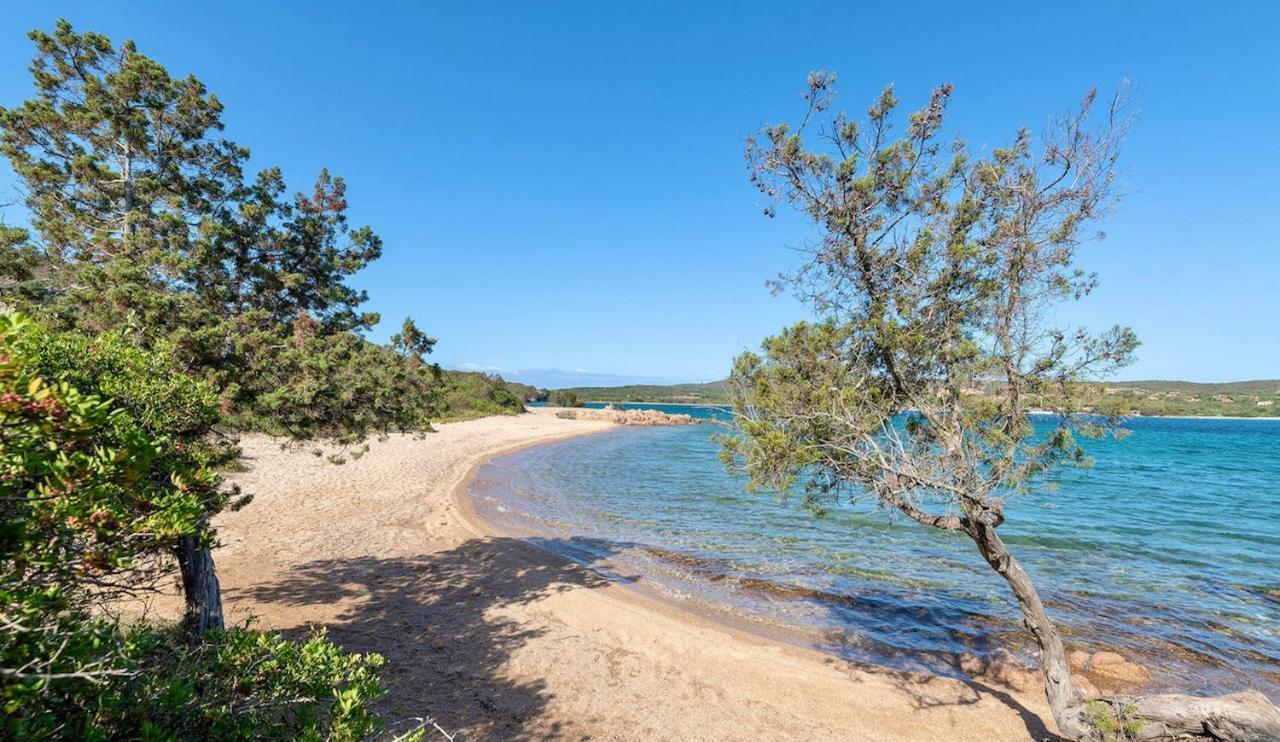 Residence Con Piscina A Palau, A Soli 150 Mt. Dal Mare Εξωτερικό φωτογραφία